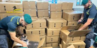 Oltre 7mila profumi contraffatti sequestrati dai Baschi Verdi I profumi contraffatti sequestrati dai Baschi Verdi