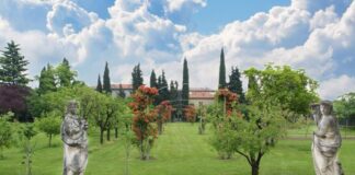 Vaggio sensoriale verso il benessere: 7 giorni per rinascere fra le Colline del Prosecco