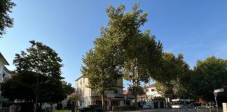 Nuova rotatoria via Tevere – via Bissuola in funzione nella prima settimana di settembre Nuova rotatoria via Tevere-via Bissuola