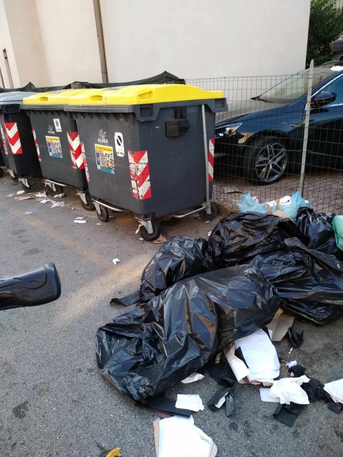 Jesolo, rifiuti abbandonati - foto Veritas