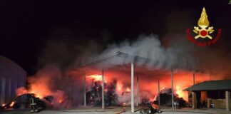 Gruaro, a fuoco 700 quintali di balle di fieno Gruaro, a fuoco 700 quintali di balle di fieno