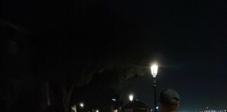 Gira a torso nudo in zona stazione, poi si tuffa in Bacino Santa Chiara: multato dalla Polizia locale Polizia Locale in azione a Venezia