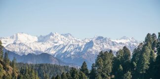 Siti Natura 2000, 1 milione di euro per la tutela delle biodiversità