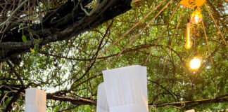Seicento appassionati gourmet a Giavera per lo show di “Intavolando nel Parco”