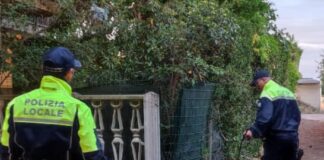 Jesolo, sequestrati 1.000 oggetti destinati alla vendita illegale Jesolo, Polizia Locale in azione