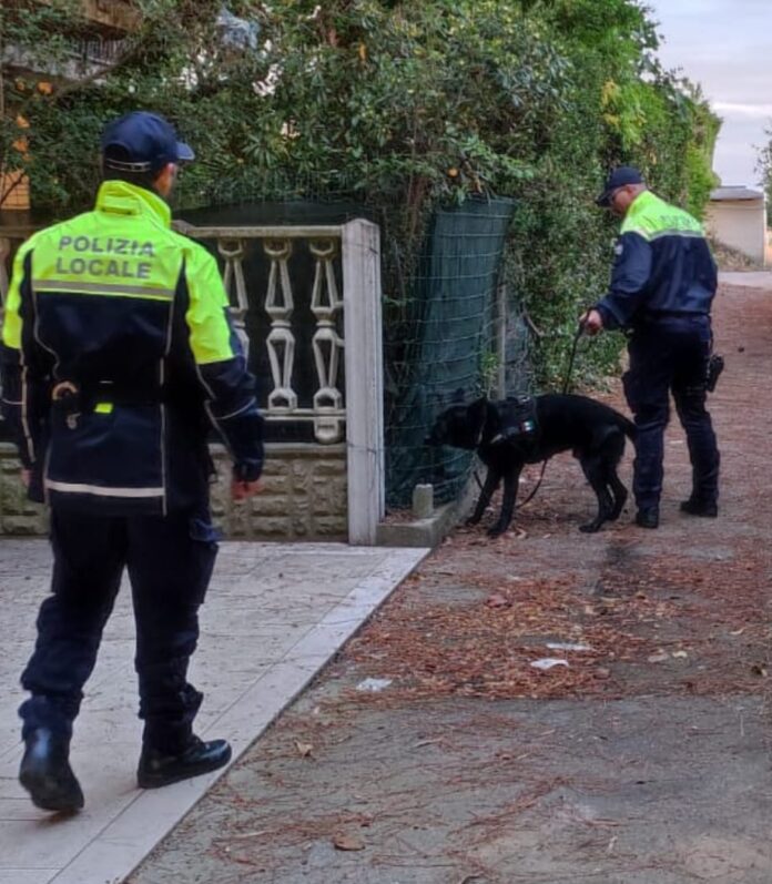 Jesolo, Polizia Locale in azione