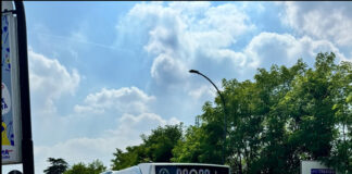 Numeri record per il servizio di bus a chiamata MOM+: 845 passeggeri in 3 mesi