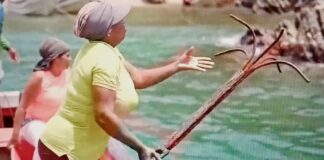 Cartoline dai Caraibi: Un Viaggio Letterario dal Giappone al Venezuela