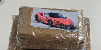 22enne arrestato a Treviso con ingente quantità di droga