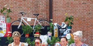 In duemila per il memorial Meneghello: a Santa Cristina la solidarietà va di corsa