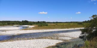 “Puliamo il mondo, per un clima di pace” lungo il Piave a Spresiano