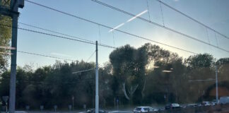 Incidente sul ponte della Libertà: ferita una donna, traffico bloccato Incidente sul Ponte della Libertà, il traffico bloccato - foto Ruggeri