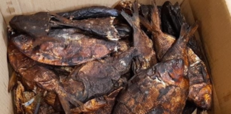 Maxi sequestro di alimenti in un negozio etnico di Treviso