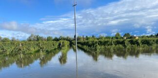 Alluvione a Spercenigo: danni ingenti all’agricoltura locale