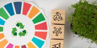 Economia Circolare e fine uso: come riciclare e riutilizzare prodotti economia circolare