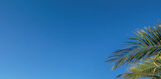 Rivoluzione nel settore piscine: l’Eco-design sta cambiando il mercato