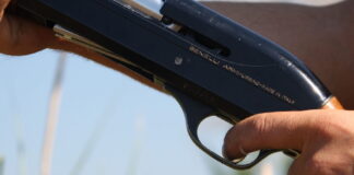 Divieto di caccia confermato nell’area del rifugio per cani a Volpago