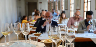 “Veneto Wine Stars: i magnifici 72 e non solo” a Conegliano dal 25 al 27 ottobre