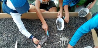 Livelet: una giornata dedicata ai misteri dell’archeologia