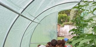 Fattorie didattiche aperte il 13 ottobre Fattorie didattiche, bambini in serra