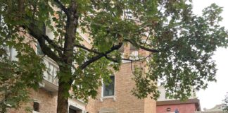 Visite guidate alla scoperta dei giardini segreti di Treviso