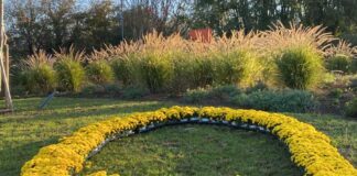 Aiuole adottate: finora sono 90 mila i metri quadrati Aiuole adottate