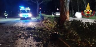 Jesolo, auto esce di strada e si schianta contro un albero: morta una ragazza Jesolo, fuoriuscita autonoma di un’autovettura finita contro un albero: deceduta una giovane donna.