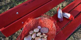 Inaugurate le panchine rosse a Zelarino e a Trivignano Panchine rosse e sassi della consapevolezza