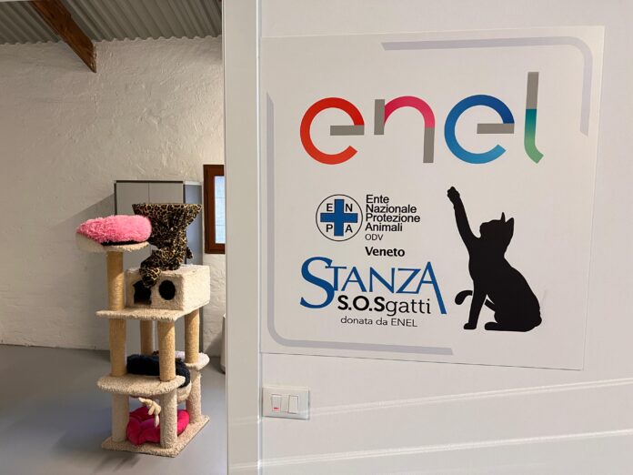 Stanza SOS per i gatti di Forte Marghera Stanza SOS per i gatti di Forte Marghera