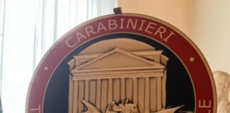 I Carabinieri consegnano al Museo archeologico di piazza San Marco una testa di Diana di età imperiale Testa di Diana in età imperiale