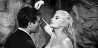 Nuovo spazio in centro per vedere film e imparare l’ABC della critica cinematografica