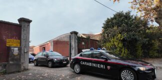 Spaccio di droga, i Carabinieri intercettano 11 cittadini nigeriani Carabinieri di Mestre in azione