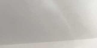 Vedelago festeggia i 102 anni di Nonna Martina Martina Visentin, i festeggiamenti per i 102 anni