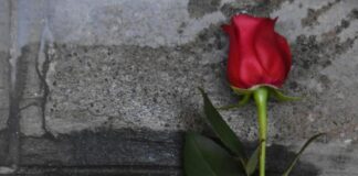 Verso il Giorno della Memoria: deposte 10 nuove Pietre d’Inciampo Pietra d'inciampo