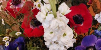 Il San Valentino nella Marca con Campagna Amica Fiori per San Valentino