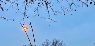 “Alto Impatto”, la Polizia identifica 250 persone tra Mestre e Marghera Polizia di Stato in azione a Mestre e Marghera