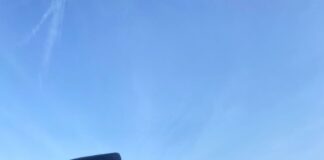 Operazione antibracconaggio dei Carabinieri, quattro denunciati Nucleo Carabinieri Forestale