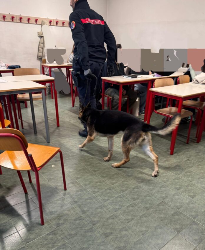 Controlli antidroga dei Carabinieri al Liceo Artistico Controlli antidroga dei Carabinieri al Liceo Artistico