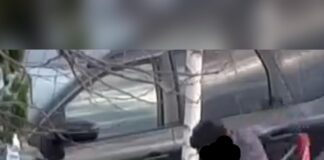 Ecovandalo in azione in via Pisa, sanzionato e invitato a portarsi a casa i rifiuti Abbandono di rifiuti in via Pisa