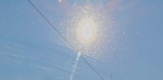 Controlli della Polizia a Marghera, espulsi tre stranieri irregolari Polizia di Stato di Marghera