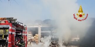 Montebelluna, camion frigo in fiamme all’interno di un’azienda ortofrutticola Montebelluna, camion frigo in fiamme all'interno di un'azienda ortofrutticola