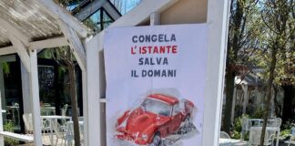 Campagna shock a Villorba: i rottami di auto incidentate esposti nelle vetrine di 31 negozi Campagna shock a Villorba: i rottami di auto incidentate esposti nelle vetrine di 31 negozi