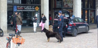 Identificati dai Carabinieri due giovani presunti autori di una rapina avvenuta a Treviso Carabinieri in azione a Treviso