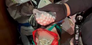 Conegliano, operazione antidroga: arrestata dai Carabinieri una donna di 33 anni La droga sequestrata dai Carabinieri di Conegliano