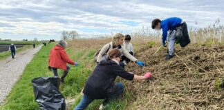 A Concordia Sagittaria la Giornata Ecologica 2025 Concordia Sagittaria, la Giornata Ecologica 2025