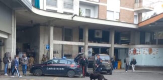 Treviso: operazione di contrasto allo spaccio e alla microcriminalità Treviso, operazione di contrasto allo spaccio e alla microcriminalità