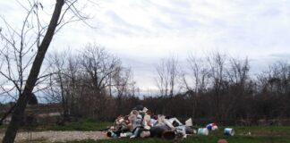 Cumulo di rifiuti abbandonati in via Pola a Villorba, denunciato imprenditore edile Rifiuti abbandonati in via Pola, a Villorba