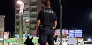 Polizia locale, a Jesolo il primo binomio agente-unità cinofila Baskoo certificato antidroga Jesolo, al binomio agente-unità cinofila Baskoo del Comando di Polizia locale di Jesolo il certificato di “Working dog handler” e “Narcotic detection dog”