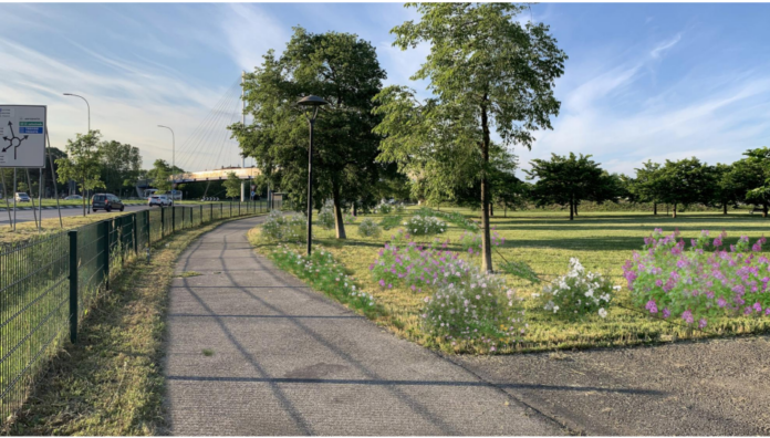 Bosco di Mestre Bosco di Mestre