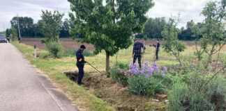 Accoltellamento a Castelfranco Veneto, forse trovata l’arma del delitto Castelfranco Veneto, i carabinieri cercano il coltello con un metal detector
